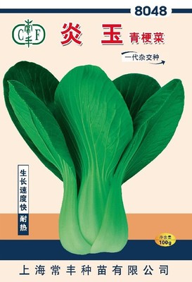 100g炎玉